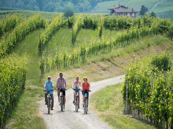 Piedmont_Langhe_people_active_Biking_green_wineyards