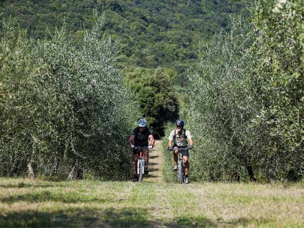 Umbria_General_Active_Sports_People_bikes